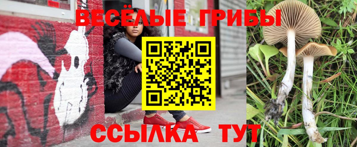 Можайск  Псилоцибиновые грибы Psilocybe  Псилоцибиновые грибы мицелий  Вход с VPN 